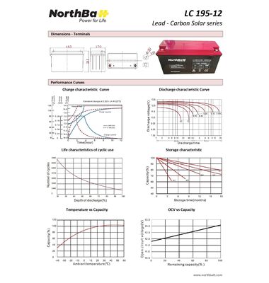 Northbatt LC195-12V 195Ah Lead Carbon 2
