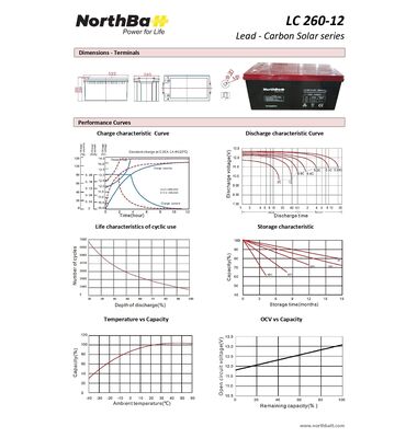 Northbatt LC260-12V 260Ah Lead Carbon 2