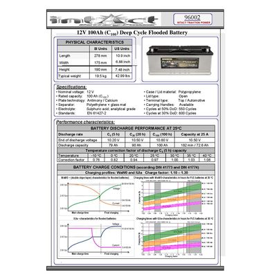 TRAKTION POWER 100AH