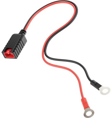 Φορτιστής-Συντηρητής Μπαταρίας 6V/12V CB-3.8 3.8A και LiFePO4 | battery-expert.gr